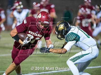 Thumbnail 3 in Falcon @ Ponderosa photogallery.