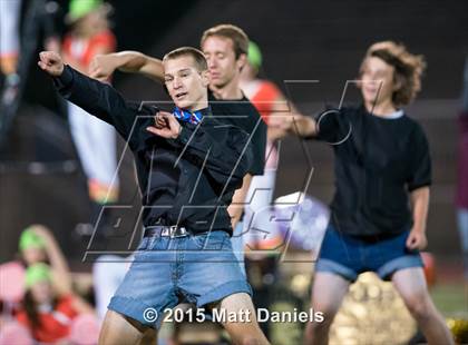 Thumbnail 1 in Falcon @ Ponderosa photogallery.