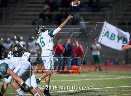 Thumbnail 2 in Falcon @ Ponderosa photogallery.