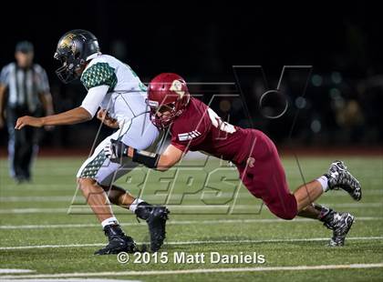 Thumbnail 3 in Falcon @ Ponderosa photogallery.