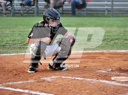 Thumbnail 3 in Pasco @ Wiregrass Ranch photogallery.