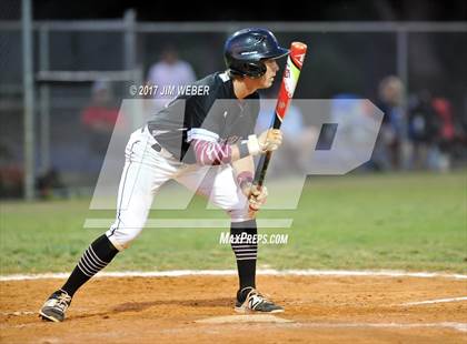 Thumbnail 3 in Pasco @ Wiregrass Ranch photogallery.