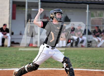 Thumbnail 2 in Pasco @ Wiregrass Ranch photogallery.