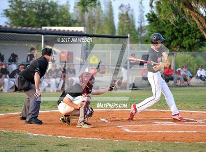 Thumbnail 1 in Pasco @ Wiregrass Ranch photogallery.