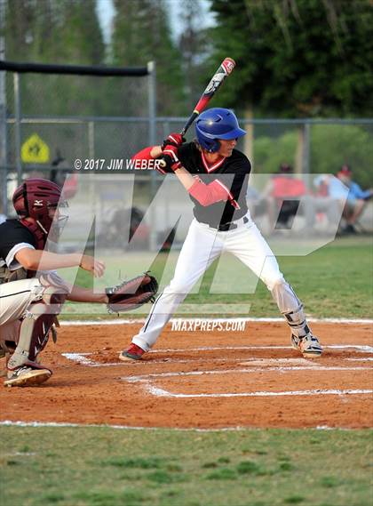 Thumbnail 2 in Pasco @ Wiregrass Ranch photogallery.