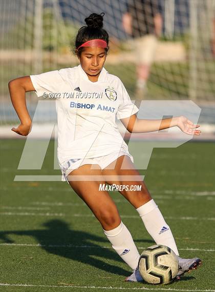 Thumbnail 2 in Bishop Amat @ La Salle photogallery.