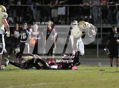 Thumbnail 2 in Plant @ Wiregrass Ranch photogallery.