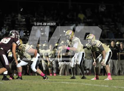 Thumbnail 3 in Plant @ Wiregrass Ranch photogallery.
