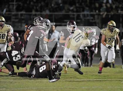 Thumbnail 3 in Plant @ Wiregrass Ranch photogallery.