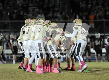 Thumbnail 2 in Plant @ Wiregrass Ranch photogallery.