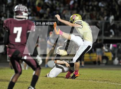 Thumbnail 2 in Plant @ Wiregrass Ranch photogallery.