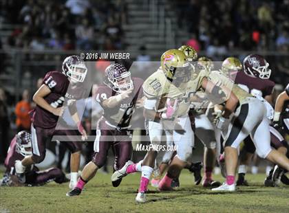Thumbnail 1 in Plant @ Wiregrass Ranch photogallery.