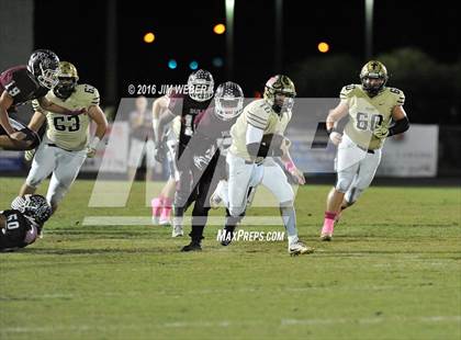 Thumbnail 2 in Plant @ Wiregrass Ranch photogallery.