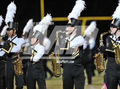 Thumbnail 1 in Plant @ Wiregrass Ranch photogallery.