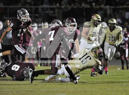 Thumbnail 1 in Plant @ Wiregrass Ranch photogallery.