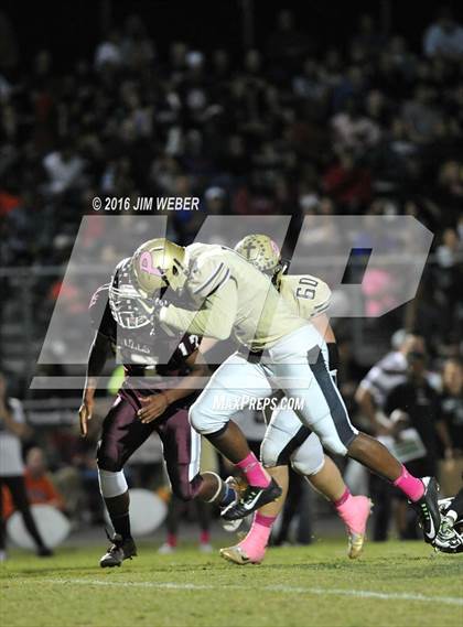 Thumbnail 1 in Plant @ Wiregrass Ranch photogallery.