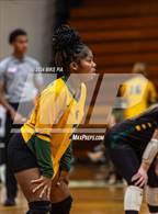 Photo from the gallery "Scotland @ Pine Forest"