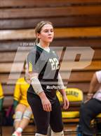 Photo from the gallery "Scotland @ Pine Forest"