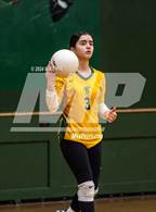 Photo from the gallery "Scotland @ Pine Forest"