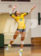 Photo from the gallery "Scotland @ Pine Forest"