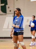 Photo from the gallery "Scotland @ Pine Forest"