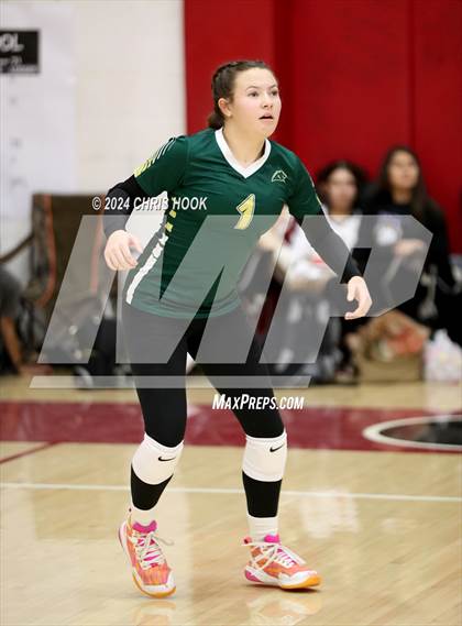 Thumbnail 1 in Show Low vs ALA - Ironwood (The Florence VB Invitational) photogallery.