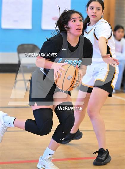 Thumbnail 3 in St. John Paul II Catholic vs. Westview (Wolves Holiday Classic Tournament) photogallery.