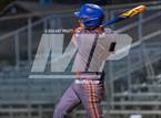 Photo from the gallery "St. Vincent de Paul @ Healdsburg"