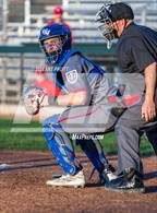 Photo from the gallery "St. Vincent de Paul @ Healdsburg"