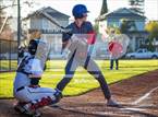 Photo from the gallery "St. Vincent de Paul @ Healdsburg"