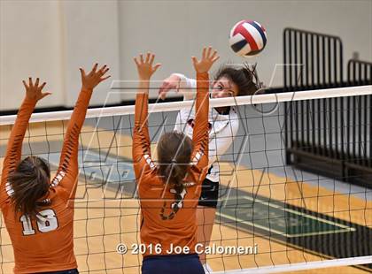 Thumbnail 3 in Madison vs. Churchill (Littleton Gym) photogallery.