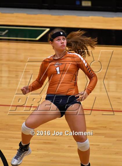 Thumbnail 3 in Madison vs. Churchill (Littleton Gym) photogallery.
