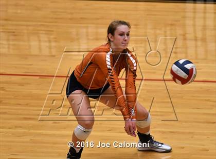 Thumbnail 3 in Madison vs. Churchill (Littleton Gym) photogallery.