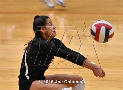 Thumbnail 1 in Madison vs. Churchill (Littleton Gym) photogallery.