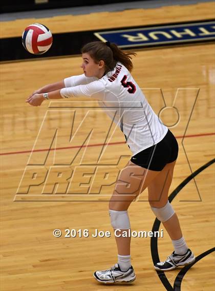 Thumbnail 2 in Madison vs. Churchill (Littleton Gym) photogallery.