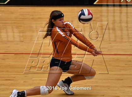 Thumbnail 1 in Madison vs. Churchill (Littleton Gym) photogallery.
