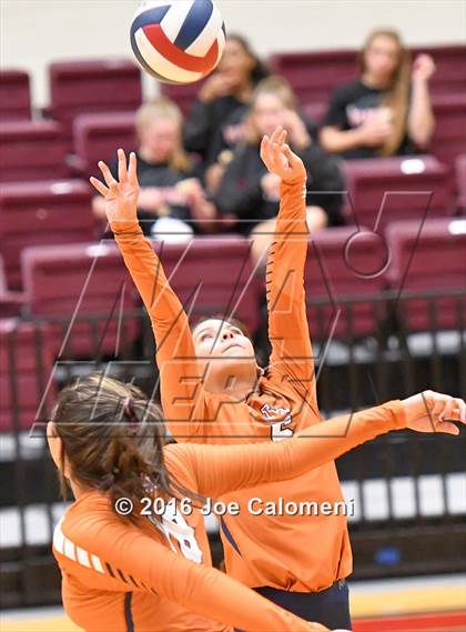 Thumbnail 3 in Madison vs. Churchill (Littleton Gym) photogallery.