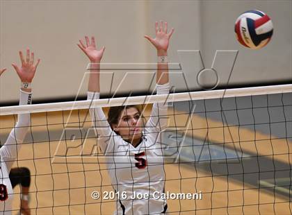 Thumbnail 3 in Madison vs. Churchill (Littleton Gym) photogallery.