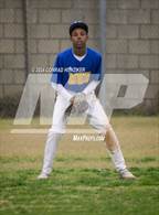 Photo from the gallery "Temple City @ Muir"