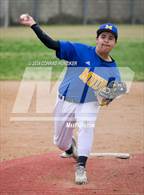 Photo from the gallery "Temple City @ Muir"