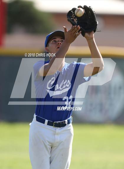 Thumbnail 1 in Sahuaro @ Buena photogallery.