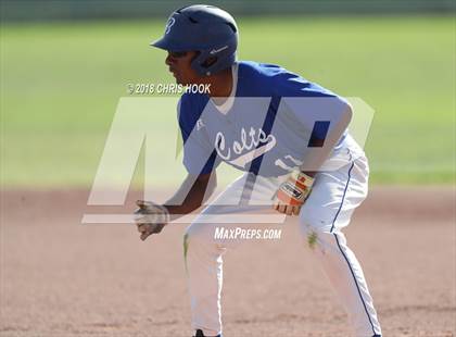 Thumbnail 1 in Sahuaro @ Buena photogallery.