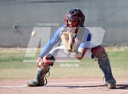 Thumbnail 1 in Sahuaro @ Buena photogallery.