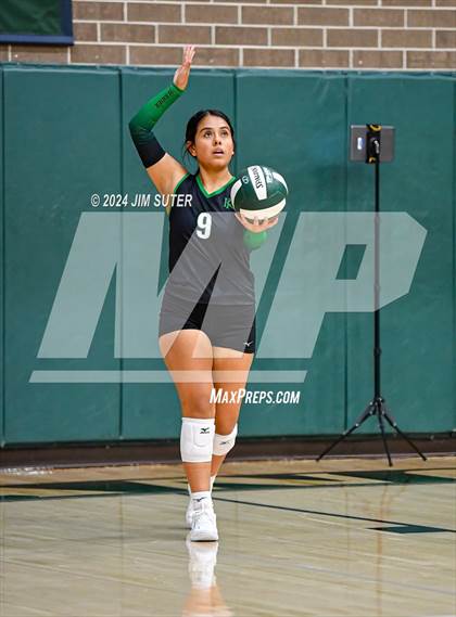 Thumbnail 1 in Rudder vs Smithville photogallery.