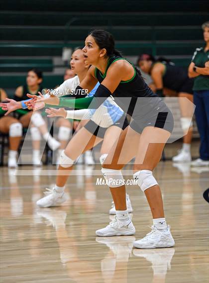 Thumbnail 1 in Rudder vs Smithville photogallery.