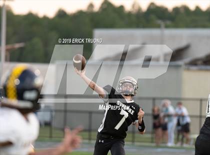 Thumbnail 3 in Land O' Lakes @ Sunlake  photogallery.
