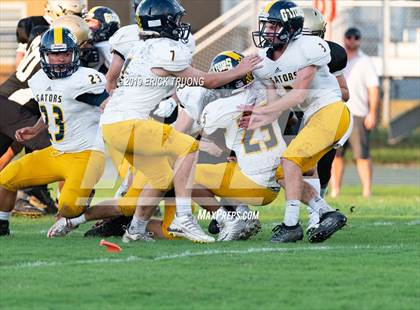 Thumbnail 3 in Land O' Lakes @ Sunlake  photogallery.