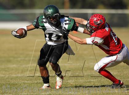 Thumbnail 3 in Big Bear vs. Twentynine Palms photogallery.