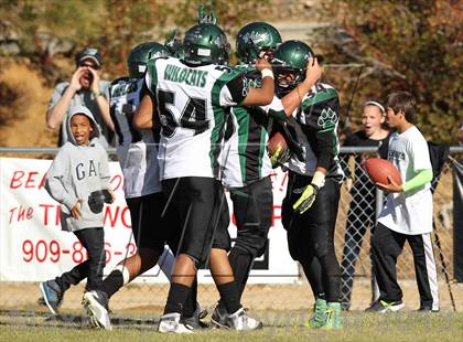 Thumbnail 3 in Big Bear vs. Twentynine Palms photogallery.