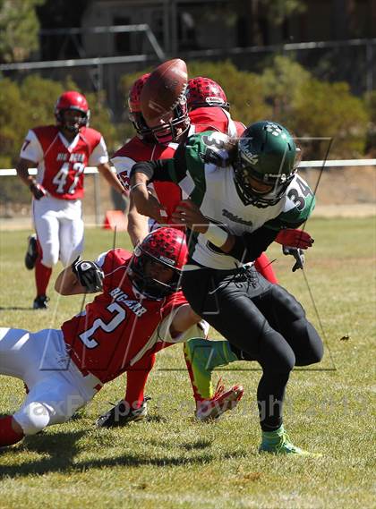 Thumbnail 2 in Big Bear vs. Twentynine Palms photogallery.